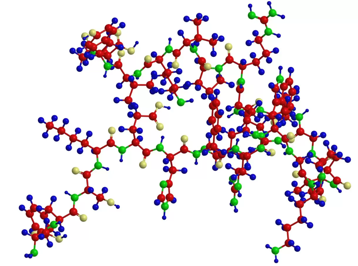 Difference Between a Peptide and a Protein